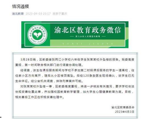 重庆小学爆料案件最新情况,真相逐步浮出水面  第2张